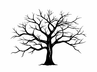 Fototapeta premium tree with roots