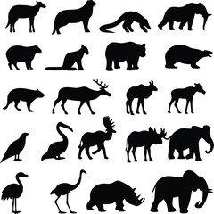 Silhouette collection of various animals including mammals and birds on white background