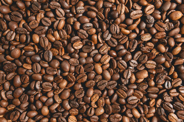 Close-up of freshly roasted coffee beans	
