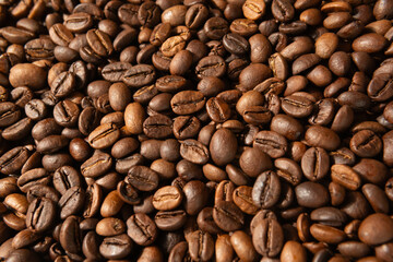 Close-up of freshly roasted coffee beans	
