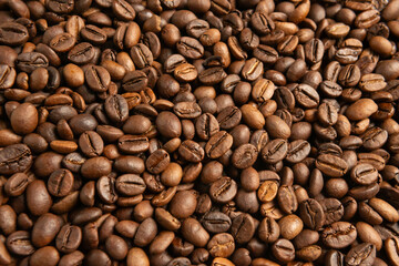 Close-up of freshly roasted coffee beans	
