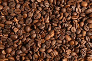 Close-up of freshly roasted coffee beans	
