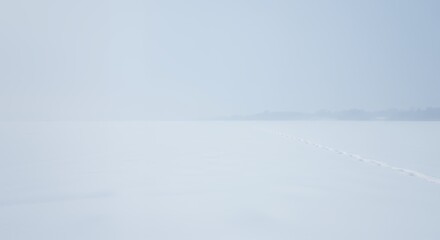 Footprints Across Snow Covered Landscape on a Winter Day