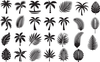 Beautiful Palm Tree Leaf Set Silhouette – Tropical Nature Vector Collection