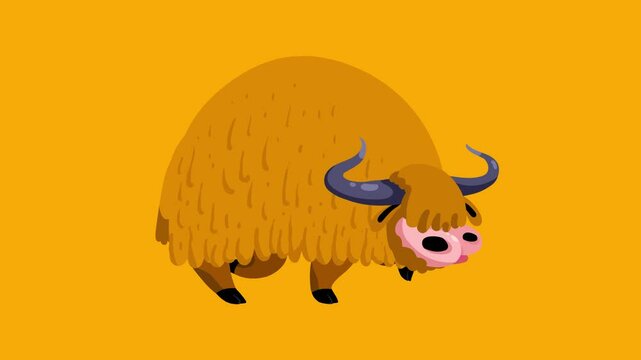 Yak ginger color isolated cartoon animation. Cute big animal character from Asia or mainly Tibet seamless loop.