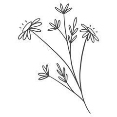 illustration of a branch with leaves and flowers