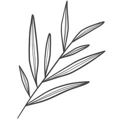 illustration of a branch with leaves