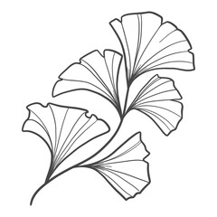 Fototapeta premium illustration of a branch with leaves