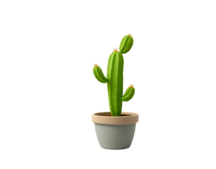 3D cartoon cactus in a pot