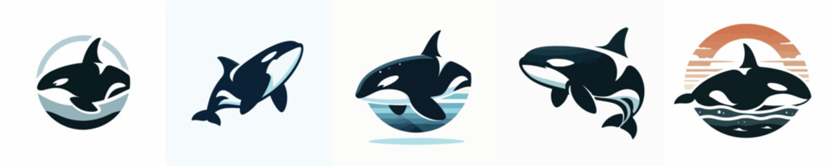 Vector of a killer whale (orca) silhouette.