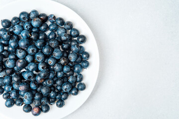 Fresh blueberries arranged on a white plate against a light gray background