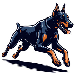 Doberman vector and illustrations.