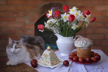 Easter still life with a funny cat