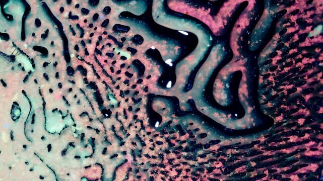 Colorful ink forming abstract shapes in macro shot, vibrant and artistic pattern