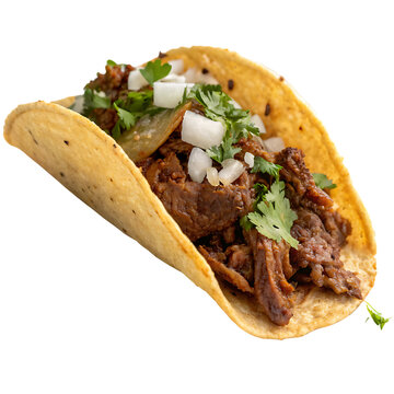 Single birria taco isolated on a transparent background