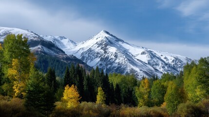 beautiful snow capped mountain landscape with fall Aspen tree forest all around, 32k, HD.