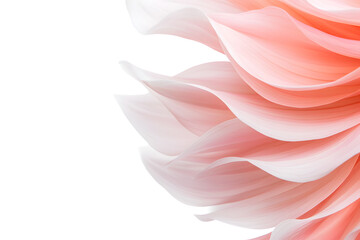 Obraz premium Pink dahlia petals on background. Delicate powdery pink background with copy space