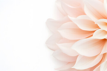 Fototapeta premium Pink dahlia petals on background. Delicate powdery pink background with copy space