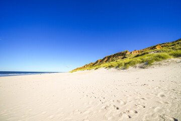 Landscape at the Rotes Kliff on the island of Sylt, between Wenningstadt and Kampen.
Nature on the North Sea beach. Cliffs in North Frisia.