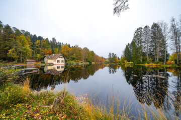 Landscape at the S&auml;gm&uuml;hlweiher pond in Ludwigswinkel. Nature at the lake in autumn. Reservoir at the edge of the forest.
