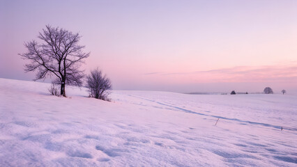 Soft Pink Snowfield Under Pale Lavender Sky
