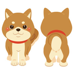 柴犬の前後イラストセット