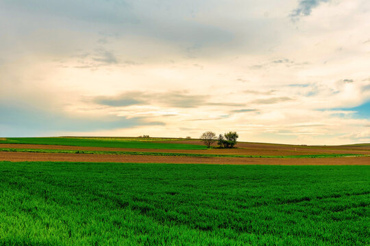 Expansive green fields under a dramatic sky at dusk in a rural landscape