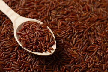 Raw brown rice in wooden spoon