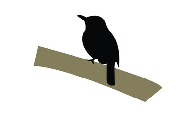 African shrike flycatcher bird Silhouette Design  And Vector Illustration. 