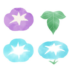 朝顔の花と葉　水彩風イラスト素材