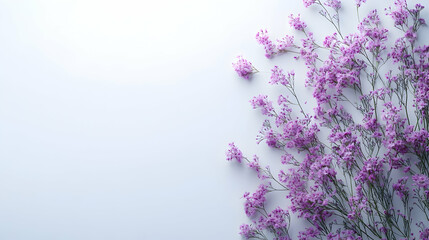 Obraz premium Lilac petals rest upon a clean pale background creating a delicate and serene floral arrangement