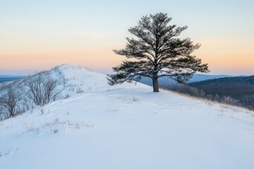 Obraz premium Solitary Pine Tree on Snowy Hill with Mountains Under Pale Winter Sky