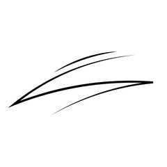 Hand Drawn Brush Line