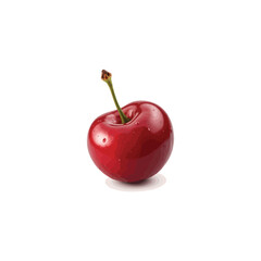 Fresh cherry vector image in 3D