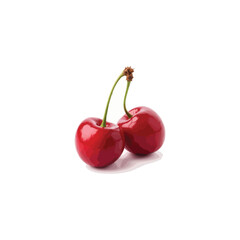 Fresh cherry vector image in 3D