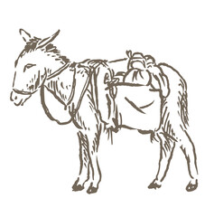 donkey vector sketch illustration carrying goods
