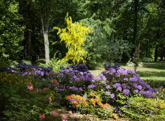 Photo of different colors from different flowers.