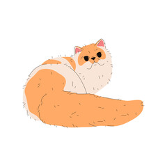 Persian cat breed or longhair fauna. Vector purring animal. Purebred domestic kitten. Playful puss or sociable companion, agile catling or domesticated kitty. House pussycat. Zoology and biology.