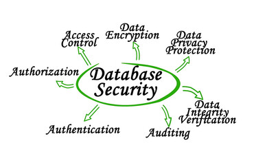 Seven Components of Database Security