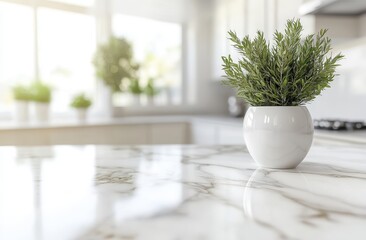 Fototapeta premium A Fresh and Bright Kitchen Scene Featuring Marble Countertops and Greenery