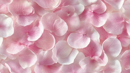 Obraz premium Delicate pink flower petals create a soft, romantic texture.