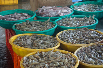 fish on a local market in mumbai