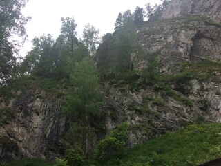 Majestic rocky cliff adorned with lush greenery under an overcast sky in a remote mountainous area