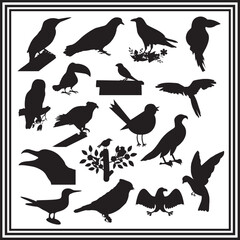 Diverse Bird Silhouettes Collection isolated on white background. 