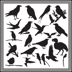 Bird Silhouettes Collection for Design , birds clipart set .