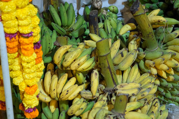 hindu banana festival in goa