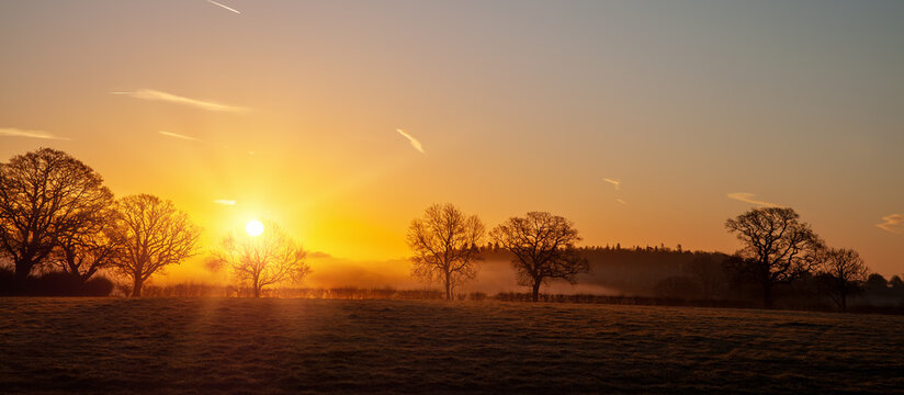 Golden sunrise through spring trees and rural landscape