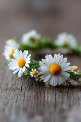 Obraz premium Delicate daisy crown adorned with vibrant blooms, symbolizing su