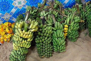 hindu banana festival in goa