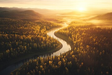 Serene autumnal river meanders through golden forest at sunrise